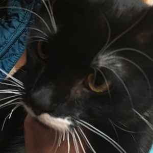 Meet your Posher, Phoebe